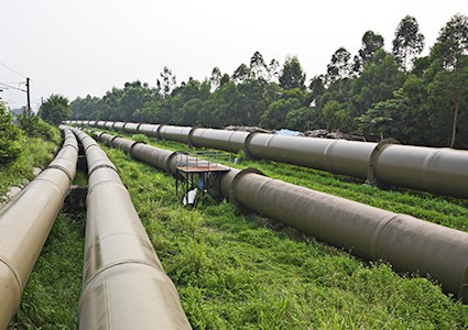 Four rows of industrial pipelines with greenery in the background
