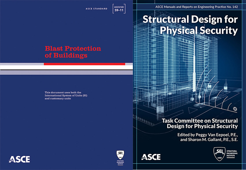 two book covers about standards