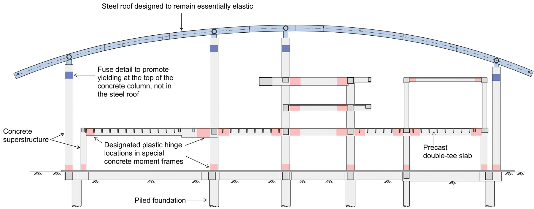 Figure shows a terminal sample transverse section.