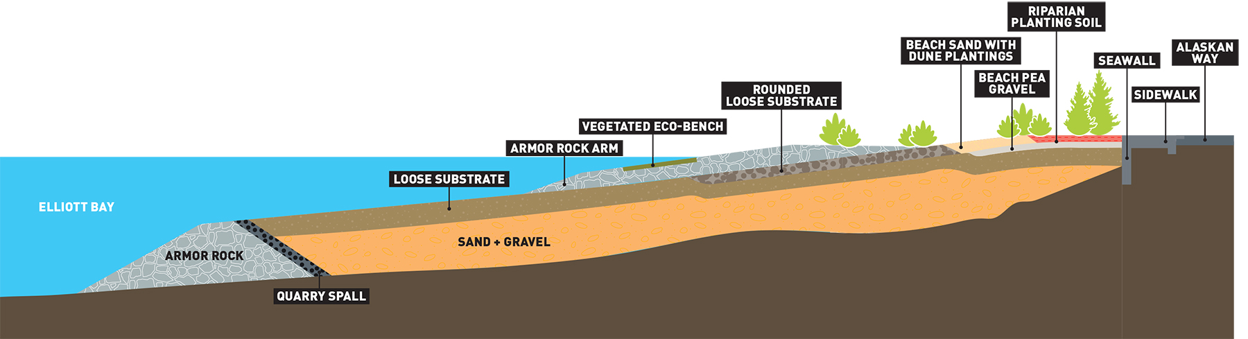 cross section depicting layers of the beach