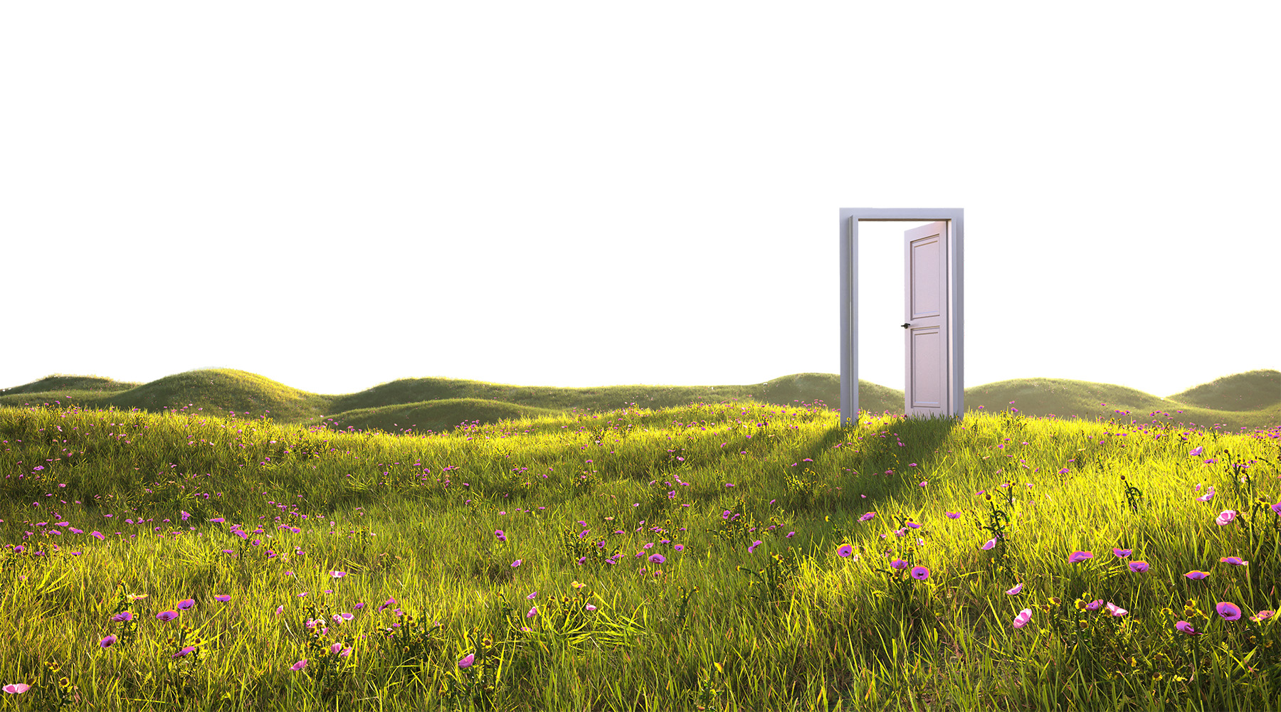 Image is of an open door. The door is set in a field of flowers and grass. 