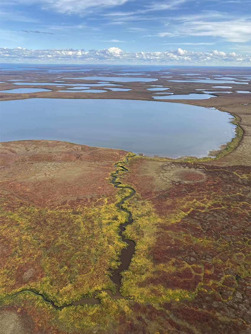 An aerial photo demonstrates the distinctive polygonal shapes found in permafrost ground. 