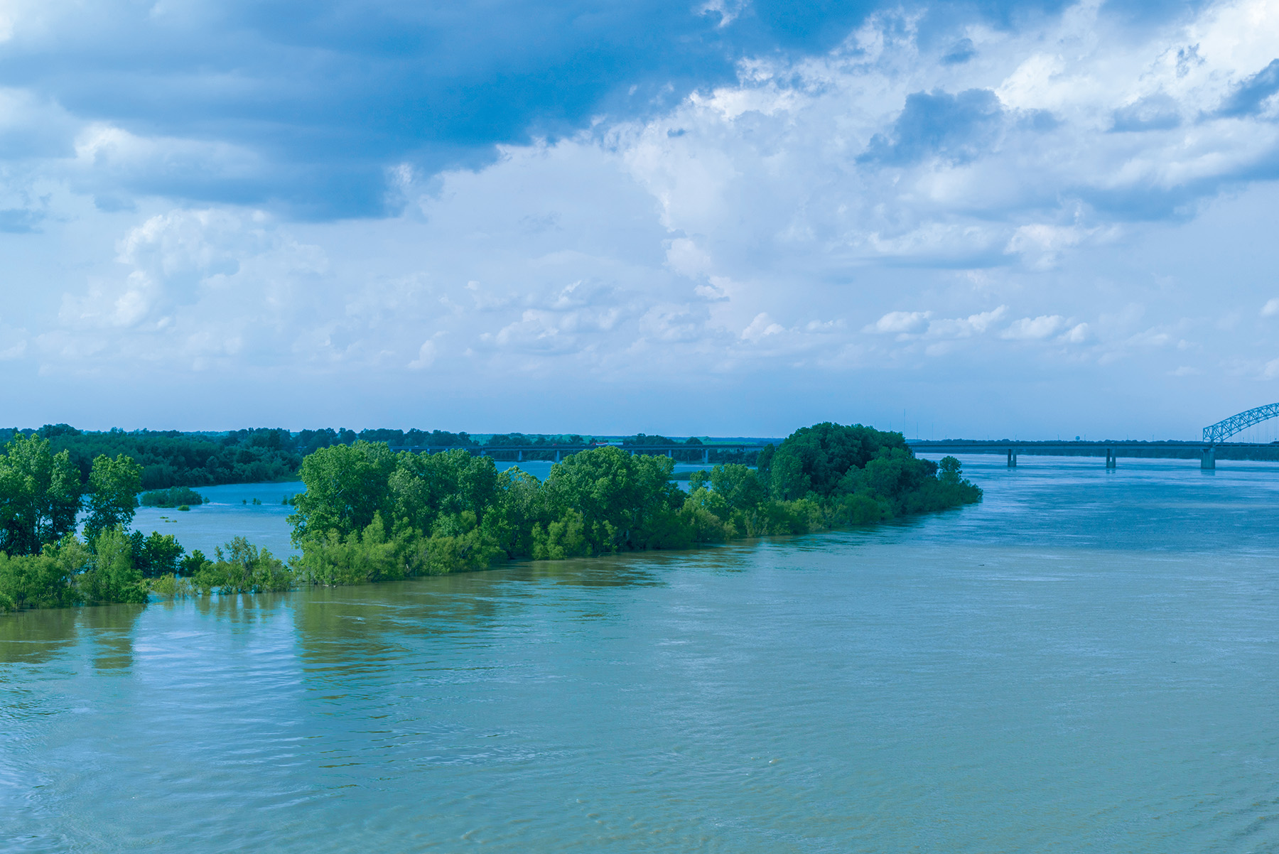 A photo shows high water around trees and a bridge in the distance following a flood in Tennessee. 