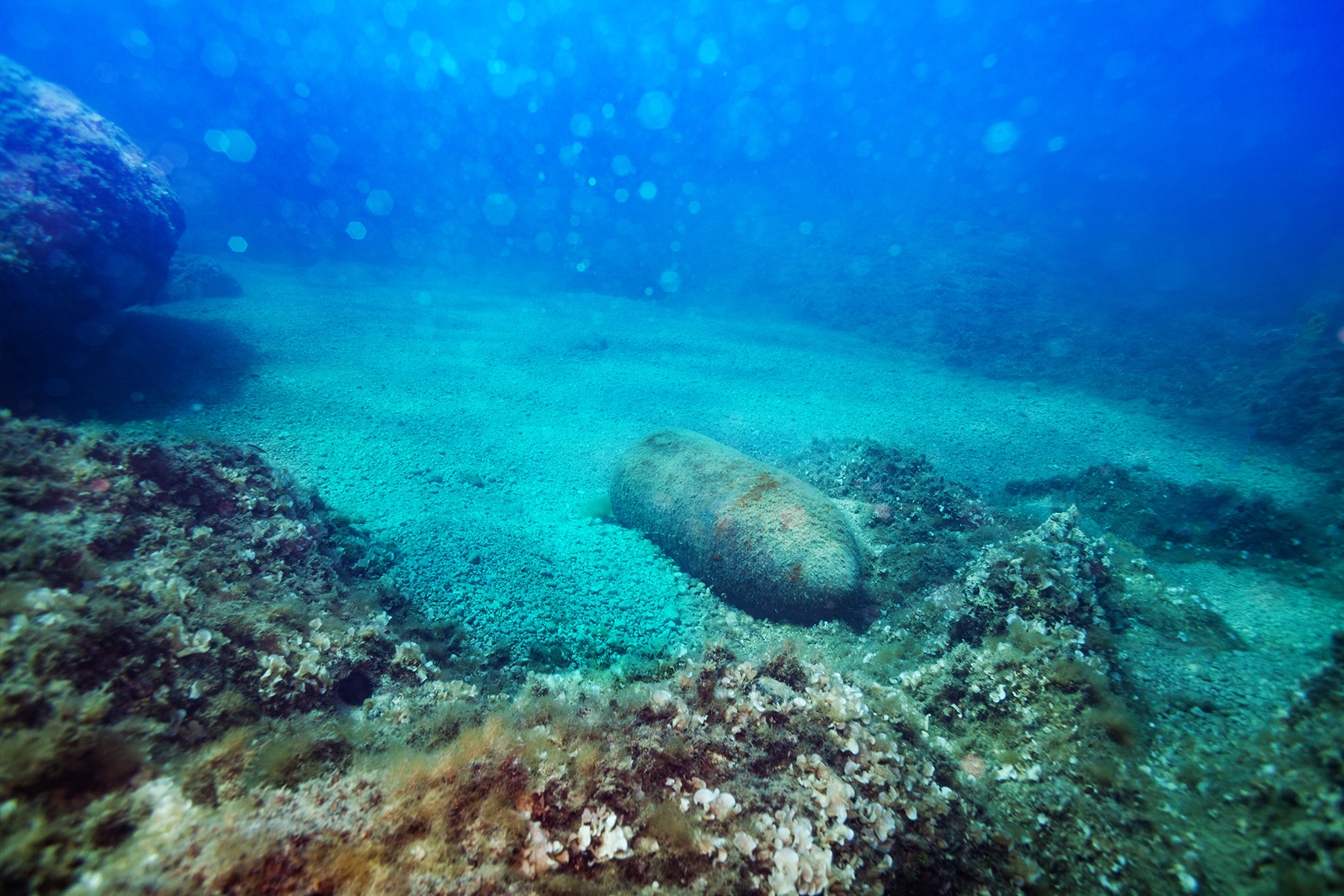 The bottom of the ocean floor. In the foreground is an unexploded bomb covered in algae and in the background is a row of coral. 