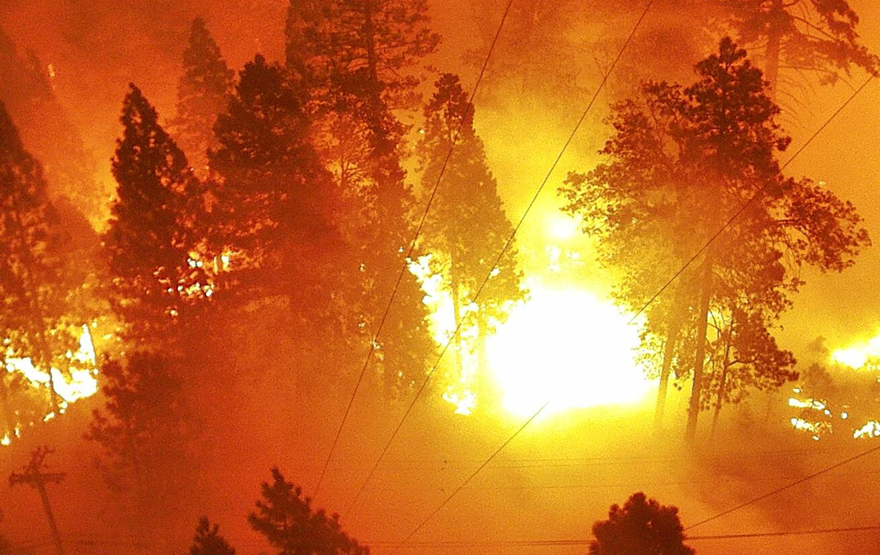 a fire roars through trees