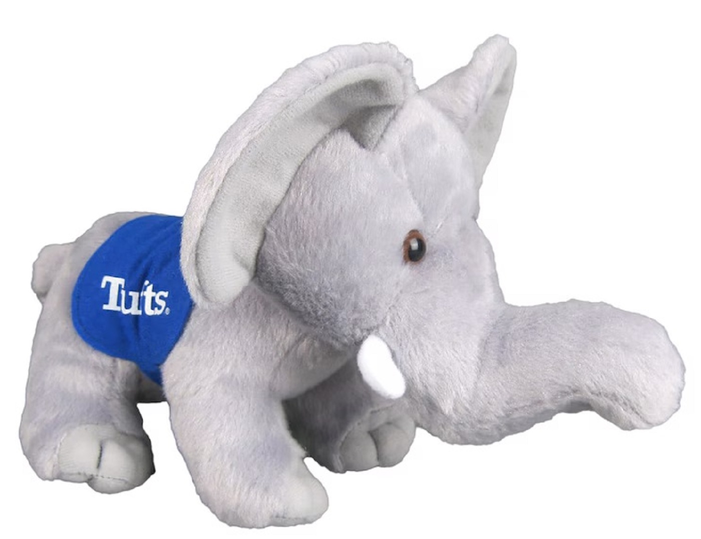 photo of Tufts elephant