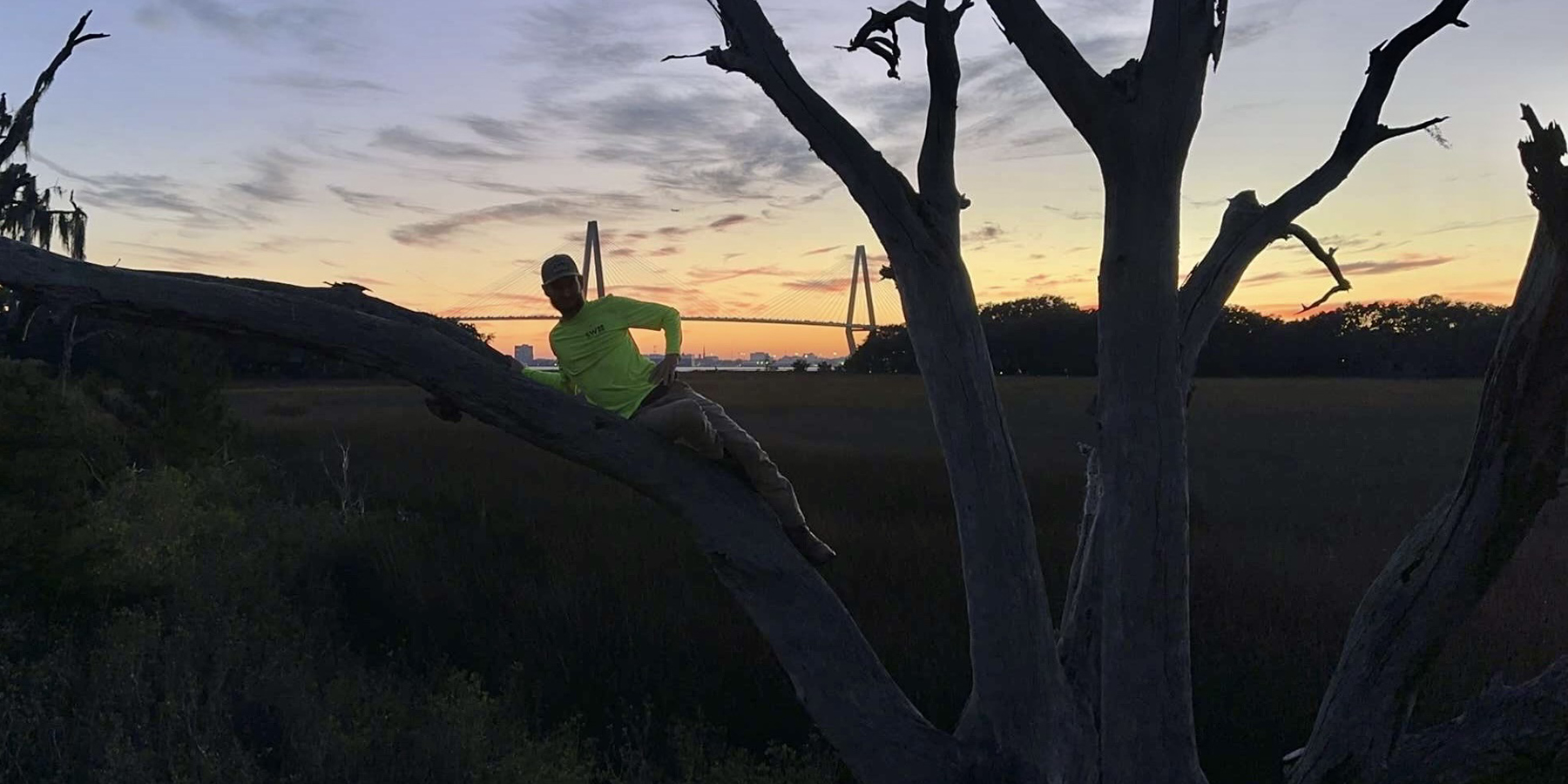 a surveyor in a tree