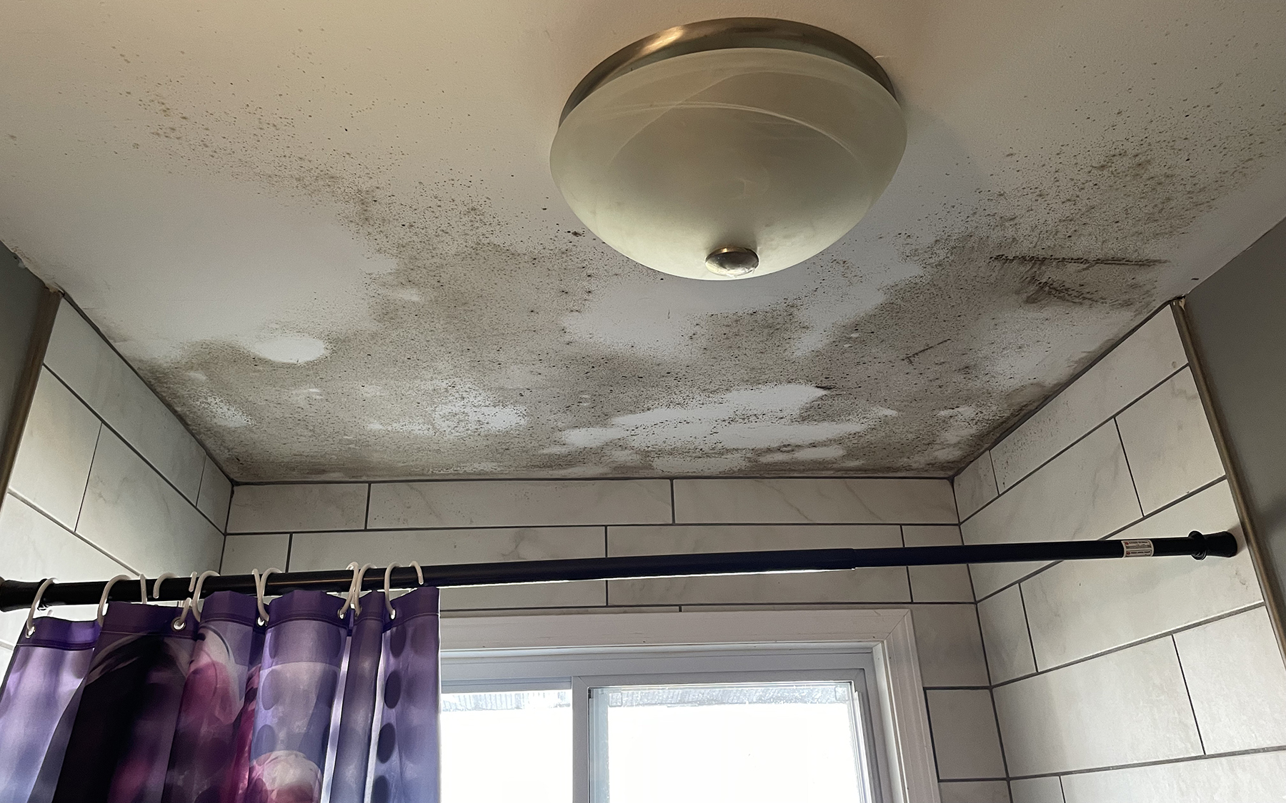 mold covers a ceiling in a bathroom