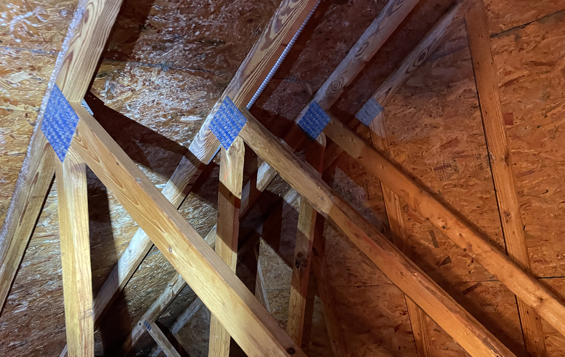 attics can be susceptible to mold